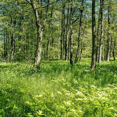 Bredelykke Сasa de vacaciones