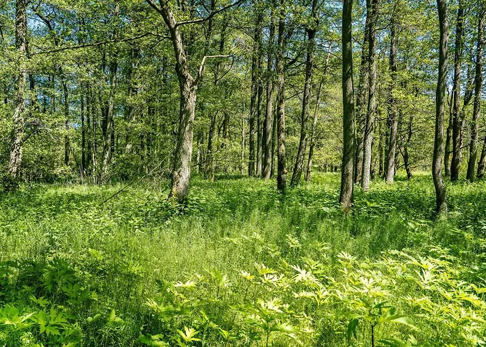 Bredelykke Semesterbostad